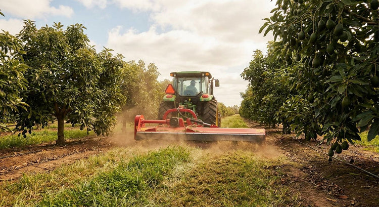 Flail mower for avocado orchard inter-row mowing